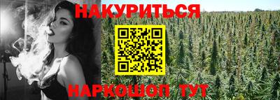 гашиш Шелехов