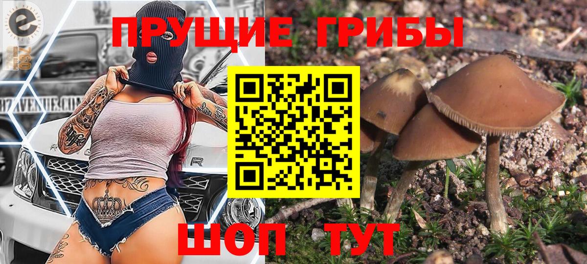 Галлюциногенные грибы мухоморы Белая Калитва